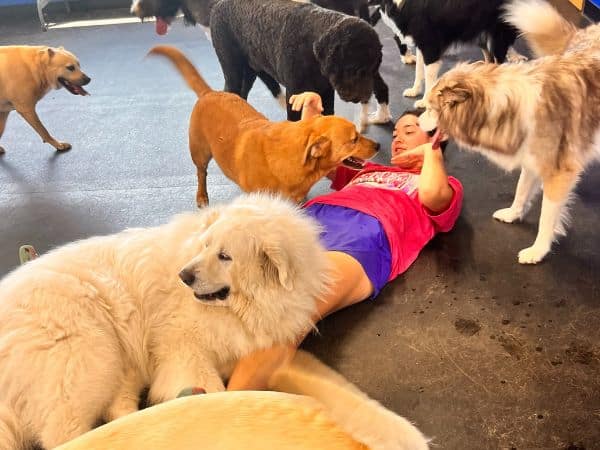 dogs at boarding kennel in Broken Arrow.